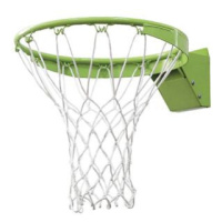 EXIT Galaxy Dunk rim + Net