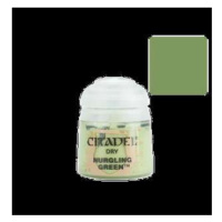 Citadel Dry: Nurgling Green (12ml)