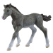 Thrácké hříbě | Horse Club | Schleich