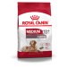 Royal Canin Medium Ageing 10+ - granule pro stárnoucí psy středně velkých plemen 15 kg
