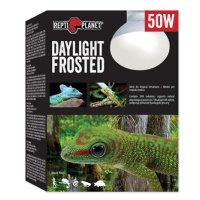 Žárovka REPTI PLANET Daylight Frosted 50 W