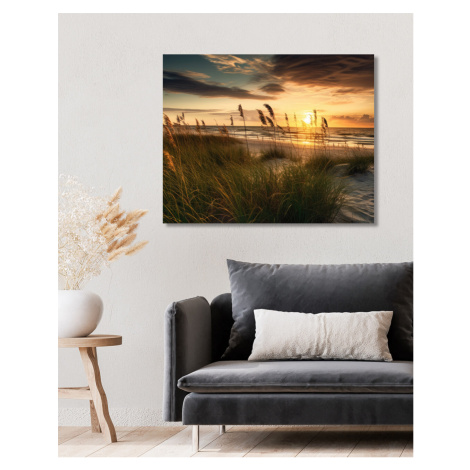 Obrazy na stěnu - Mořské trávy při zapadu slunce Rozměr: 40x50 cm, Rámování: vypnuté plátno na r