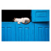 Fotografie Sleeping cat, Photography by Jeremy Villasis. Philippines., 40 × 26.7 cm