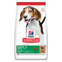 Hill´s Science Plan Canine Puppy Healthy Development Lamb & Rice 14kg