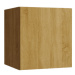 Ral Závěsná skříň GS 1 Barva dřeva: Sonoma