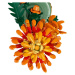 LEGO® Botanicals 10368 Chryzantéma