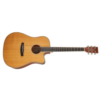 Tanglewood TW5 CE NA