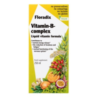 Salus Floradix Vitamin-B-komplex 250ml