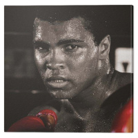 Obraz na plátně Muhammad Ali - Boxing Gloves, (40 x 40 cm)