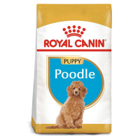 Royal Canin Poodle Junior 2 × 3 kg