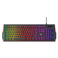 Herní klávesnice Havit GAMENOTE Mechanical Keyboard KB866L(6939119047771)