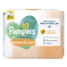 PAMPERS Ubrousky čistící Harmonie Protect & Care 4 balení = 176 ubrousků