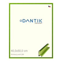 DANTIK rámeček 40 × 50, ALU profil 7269 Zelený Smaragd broušený plexi čiré