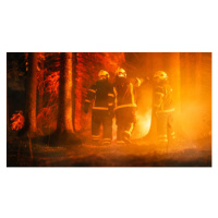 Umělecká fotografie Three Volunteer Firefighters with Safety Equipment, gorodenkoff, (40 x 22.5 