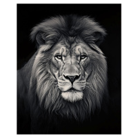 Obrazy na stěnu - Portrét lva - černobílý Rozměr: 40x50 cm, Rámování: bez rámu a bez vypnutí plá