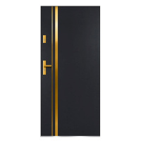 Vchodové dveře Aion S68 90L Zlatý dub