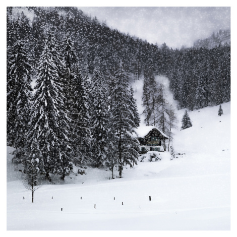 Umělecká fotografie Bavarian Winters Tale IX, Melanie Viola, (40 x 40 cm)