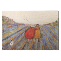 Obraz na plátně Sam Toft - A Day in Lavender, 2 cm - 80×60 cm