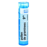 BOIRON Pollen De Graminees CH9 4 g