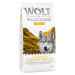 Wolf of Wilderness granule, 12 kg za skvělou cenu - „Explore The Endless Terrain“ - Mobility