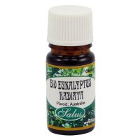 Saloos Eukalyptus Radiata bio 5 ml