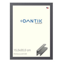 DANTIK rámeček 15 × 20, ALU profil 6220 Ocelový sklo čiré