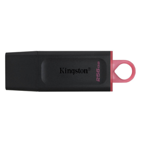 USB flash disk 256GB Kingston DT Exodia, 3.2 (DTX/256GB)