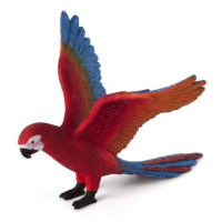Mojo Papoušek Ara