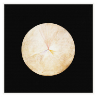 Obrazová reprodukce The Swan No.14, Hilma af Klint, 40 × 40 cm