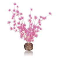 biOrb Bonsai ball růžová