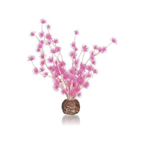 biOrb Bonsai ball růžová