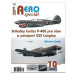 AEROspeciál 10 - Stíhačky Curtiss P-40E pro Jávu a potopení USS Langley 1. část