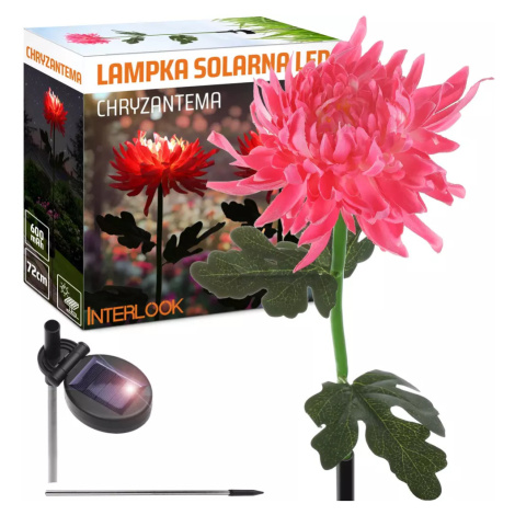 FLD-26-RUŽOVÁ | Zahradní solární lampa LED Chrysanthemum | 72 cm, 600 mAh Interlook