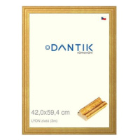 DANTIK rámeček 42 × 59,4, LYON zlatý plexi čiré