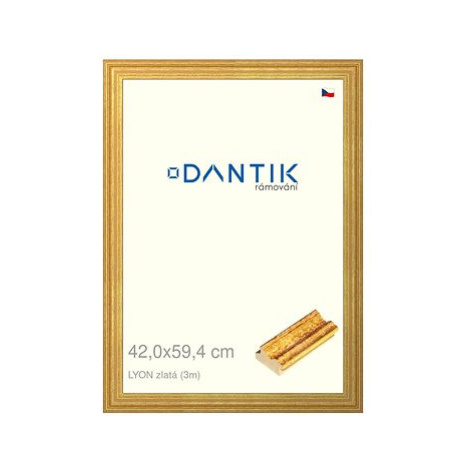 DANTIK rámeček 42 × 59,4, LYON zlatý plexi čiré