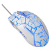 Myš drátová USB, E-blue Cobra, bílo-modrá, optická, 2500DPI, e-box