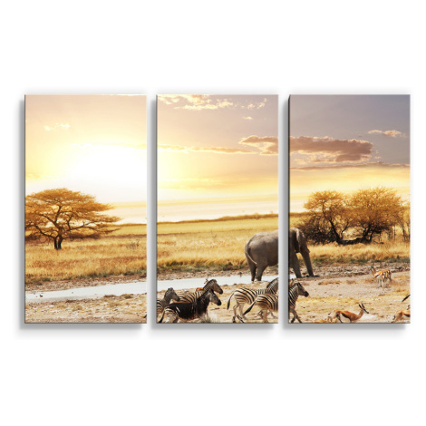 Obraz - 3-dílný Safari - 120x80 cm