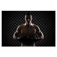 Fotografie Ultimate fighter, GoodLifeStudio, 40 × 26.7 cm