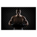 Fotografie Ultimate fighter, GoodLifeStudio, 40 × 26.7 cm