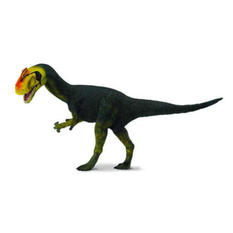 COLLECTA Proceratosaurus MAC TOYS