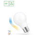 LED GLS A60 5W COG 230V CCT+DIM MILKY WI-FI SPECTRUM SMART