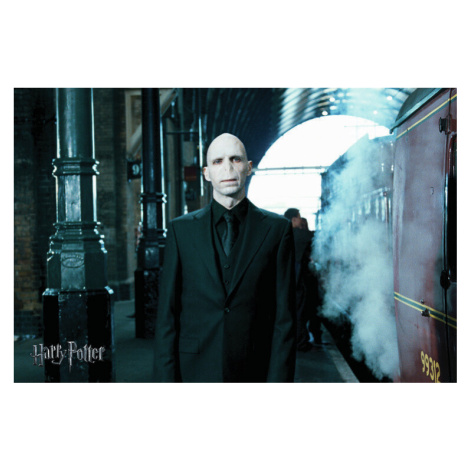 Umělecký tisk Voldemort, (40 x 26.7 cm)
