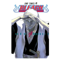 Bleach 20: End of Hypnosis Pavlovský J. - SEQOY