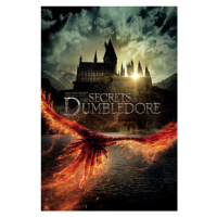 Plakát, Obraz - Fantastic Beasts - The secrets of Dumbledore, (80 x 120 cm)