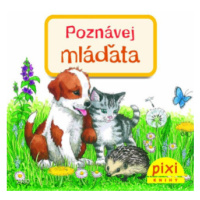 Poznávej mláďata - Liane Schneider, Anne Ebert