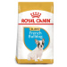 ROYAL CANIN French Bulldog Puppy suché krmivo pro štěňata francouzského buldočka 3 kg