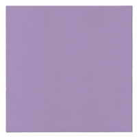 PAW - Ubrousky AIRLAID 40x40 cm Monocolor Violet