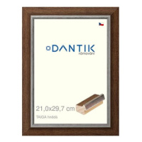 DANTIK rámeček 21 × 29,7, TAIGA hnědý sklo čiré