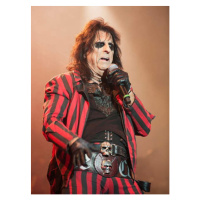 Fotografie Alice Cooper, 30 × 40 cm