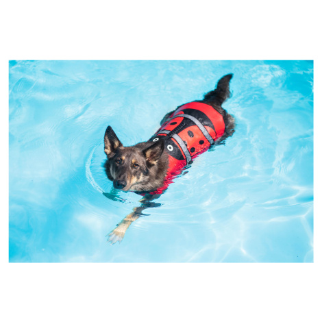 Vsepropejska Flava plovací vesta pro psa Barva: Červená, Délka zad (cm): 43, Obvod hrudníku: 76 